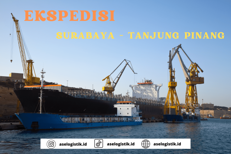 Ekspedisi Surabaya Tanjung Pinang Murah